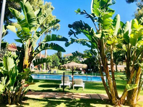 Apartamento En Puerto Banus Beach