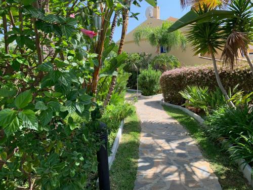 Tgsh Suites Banus