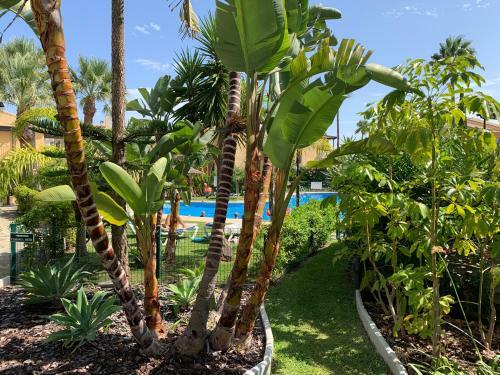 Tgsh Suites Banus