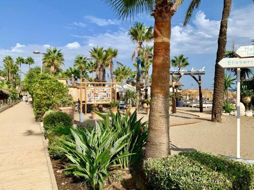 Tgsh Suites Banus