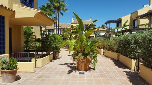 Tgsh Suites Banus