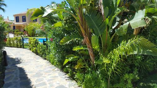 Tgsh Suites Banus