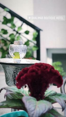 Shalimar Boutique Hotel