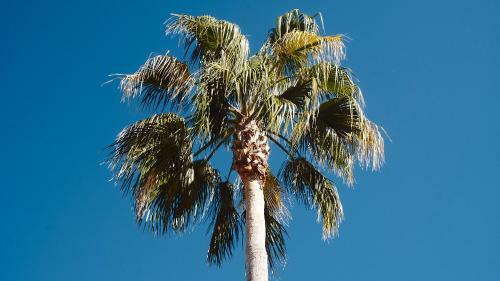 Apartamento San Pedro Del Mar