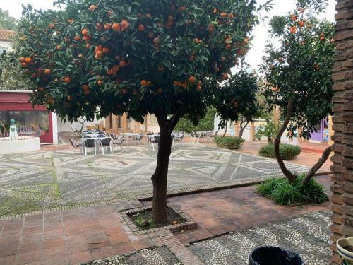 Exclusive Andalusian Villa El Pino In Cabopino