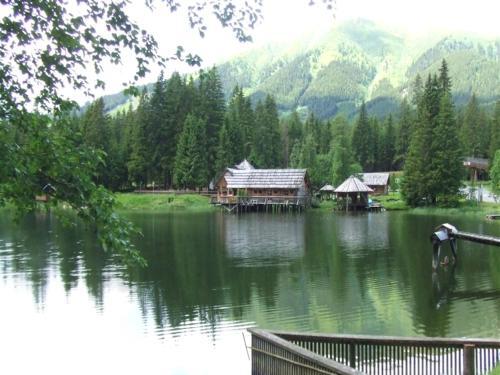 Alm Chalet Hohentauern I