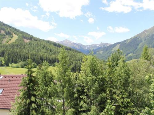 Alm Chalet Hohentauern I