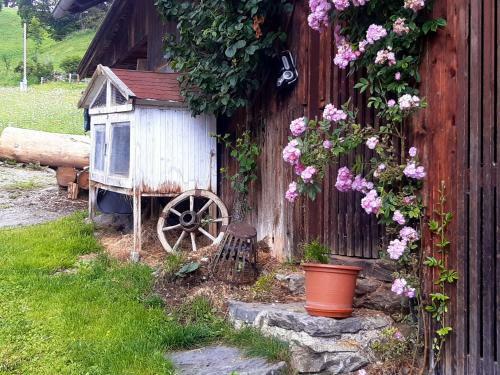 Bed & Breakfast Haus Pinter