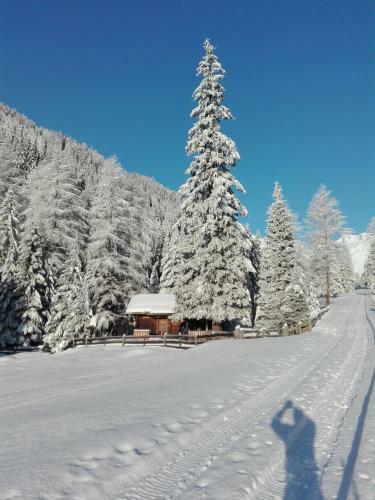 Bed & Breakfast Haus Pinter