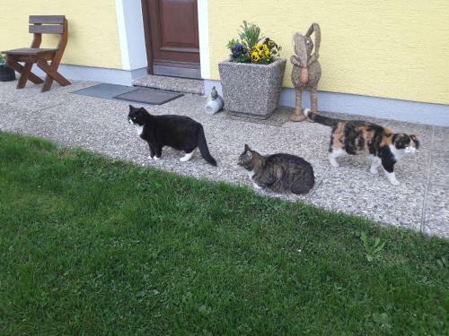 Apartamento Biobauernhof Hauserbauer