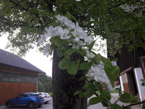 Apartamento Biobauernhof Hauserbauer