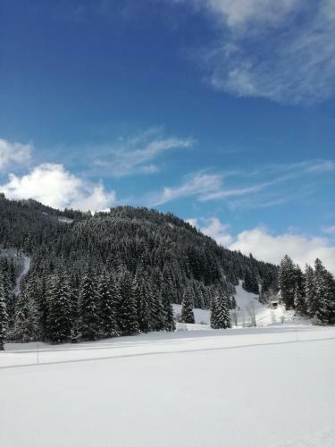 Hotel Drei Tannen