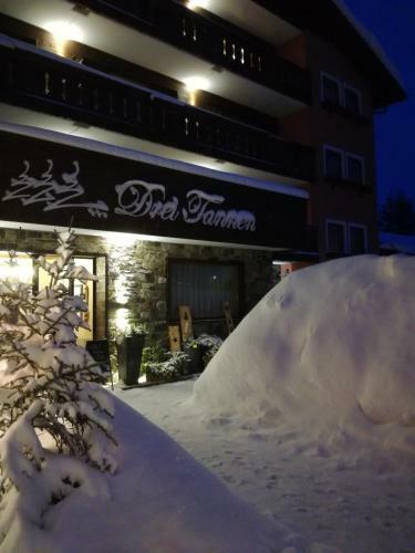 Hotel Drei Tannen
