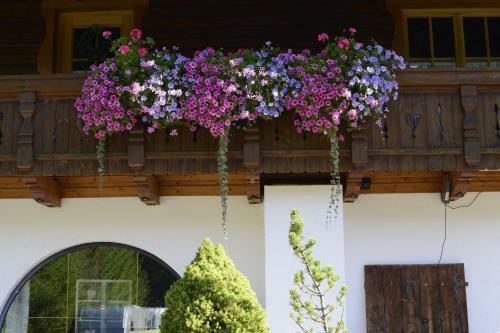 Hostal Gasthof - Pension Enzian