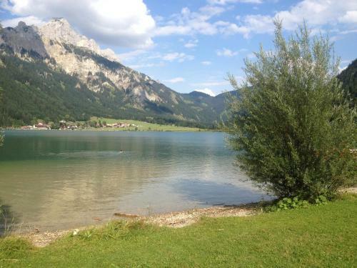Hostal Gasthof - Pension Enzian