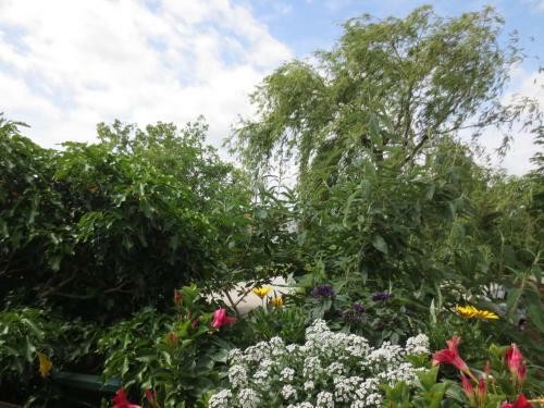 Hostal Weingut & Landhaus Willi Opitz
