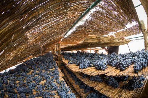 Hostal Weingut & Landhaus Willi Opitz