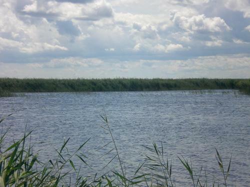 Apartamento Ferienwohnungen Feldsee