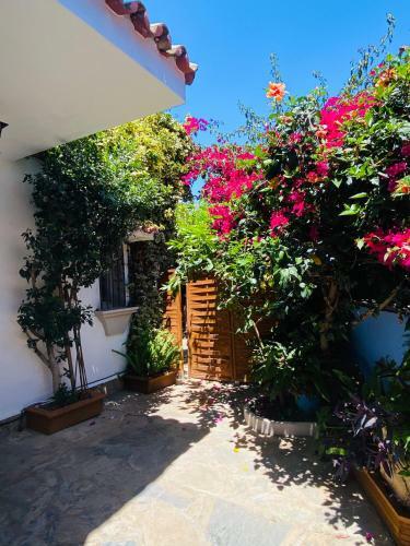 Bed & Breakfast Villa Palma