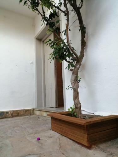 Bed & Breakfast Villa Palma