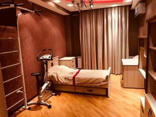 Apartment Near Metro Nizami