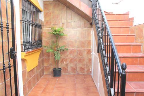 Townhouse Marbella Centre Rdr164