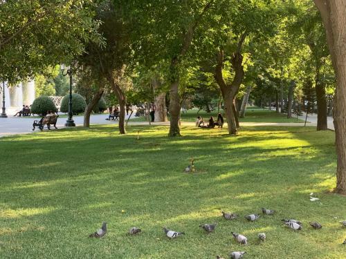 Sahil Park Hotel