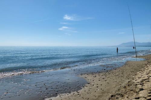 Playa Alicate, 2 Bedroom Beach Apartment