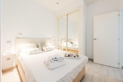 Apartamento Canal De Isabel II
