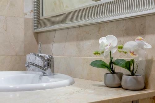 Apartamento D�plex Lujo Tres Alturas