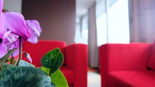 Hotel Richi