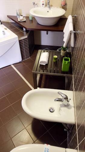 Hotel Richi