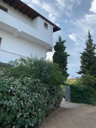 Apartamento Vila Thaci