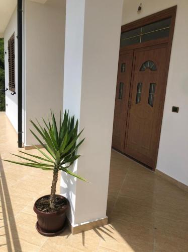 Apartamento Fabio Guest House