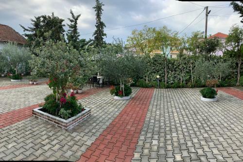 Vila Thaci