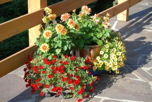 Hostal G�stehaus Luise