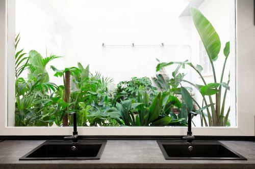 2060 The Newton Hostel