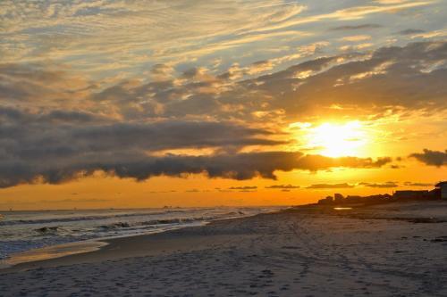 Alabama Sands #11