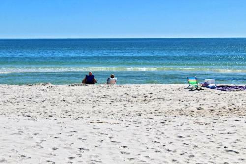 Island Winds West 280 By Youngs Suncoast