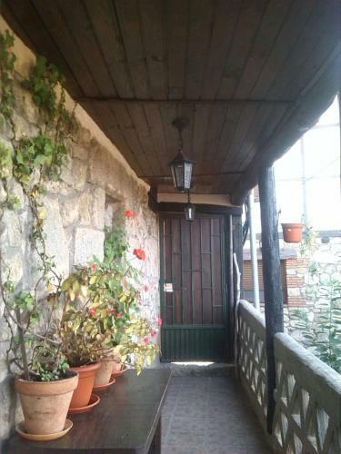 Apartamento La Due�a I
