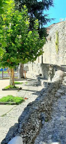 Apartamento La Due�a I