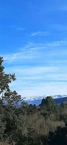 Apartamento La Due�a I