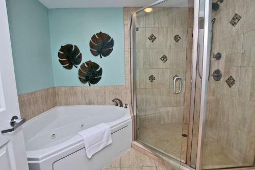 San Carlos 401 By Youngs Suncoast