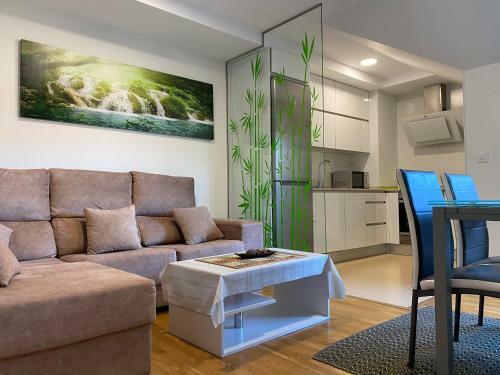 Apartamento �tico A Xunqueira - Moa�a