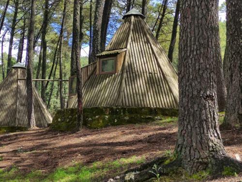 Glamping The Teepee