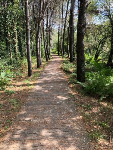 Agroturismo O Cuco De Mondariz