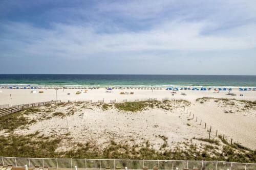 San Carlos 409 By Youngs Suncoast