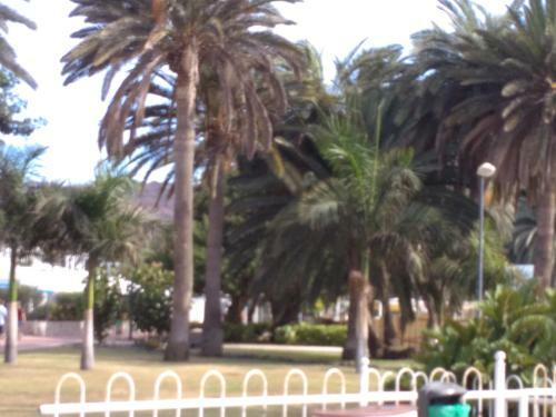 Apartamento Puerto Rico Playa