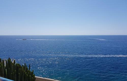 Apartamento Luxury 2 Bedroom Apt 2 Min From Beach