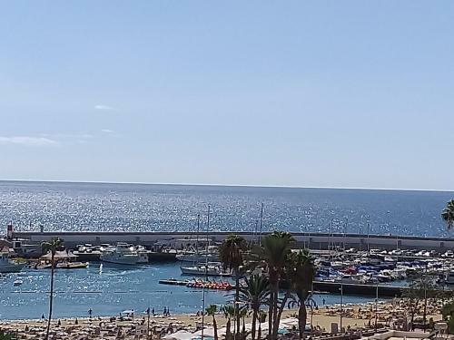 Apartamento Sol Y Cielo Estrellado En Balcon